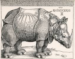 Rinoceronte di Albrecht Durer 1515
