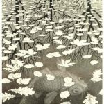 Cornelis Escher. Tre mondi, 1955, litografia