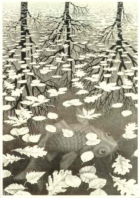 Cornelis Escher. Tre mondi, 1955, litografia