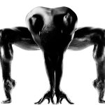 Howard Schatz. Body Power