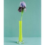 Georgie Hopton. Iris viola in un vaso giallo, 2007. Courtesy Palazzo Gallery and the artist