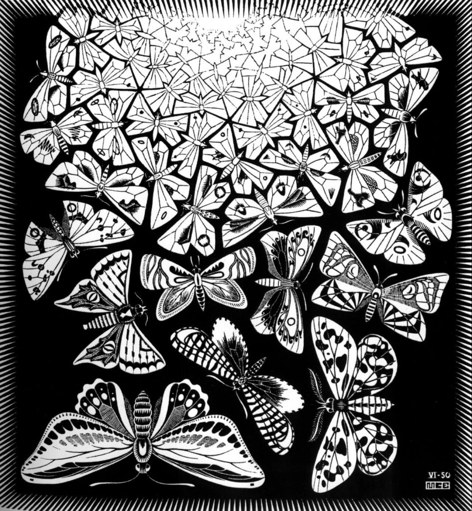 Escher. Farfalle, 1950. Incisione