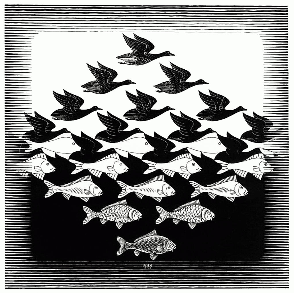 Escher. Cielo e acqua I, 1938, Xilografia. cm. 43,9 x 43,5