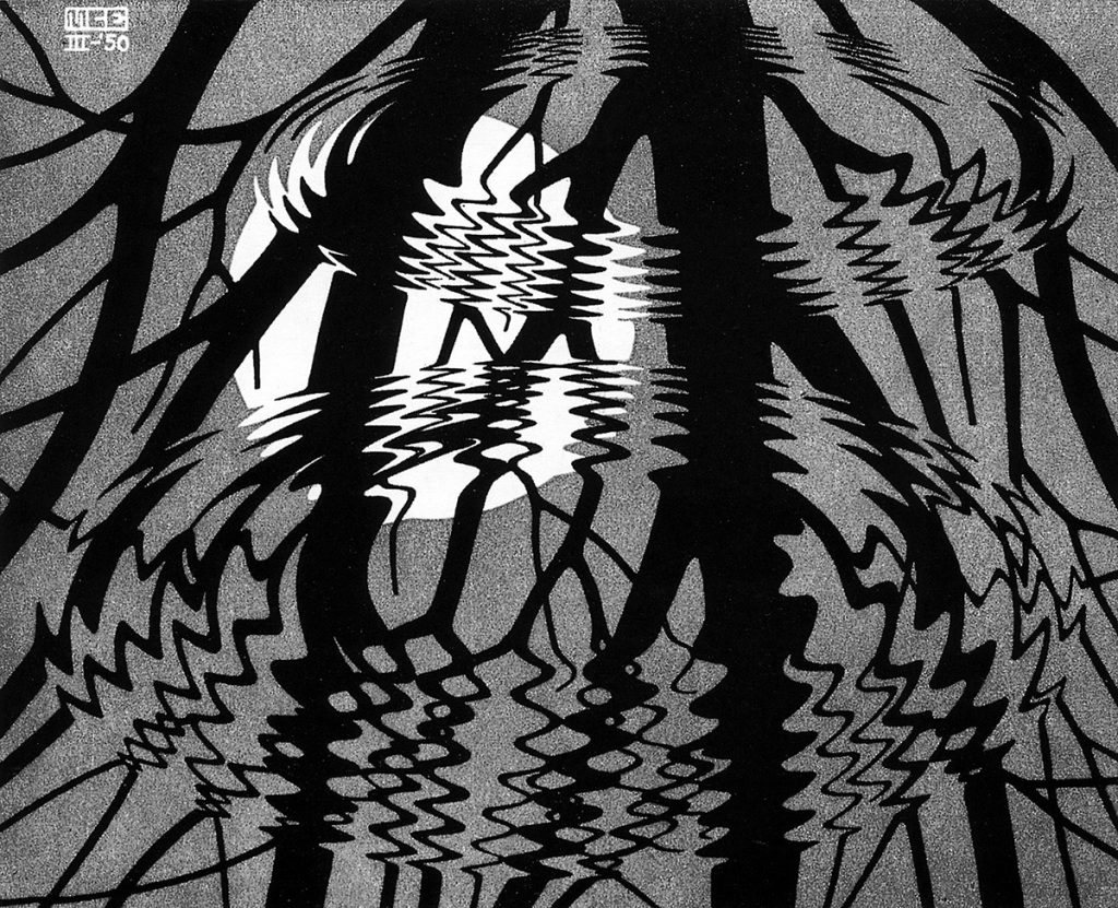 Escher a Milano. Escher. Superficie increspata, 1950. Linoleum, cm260 × 320. Collezione Federico Giudiceandrea